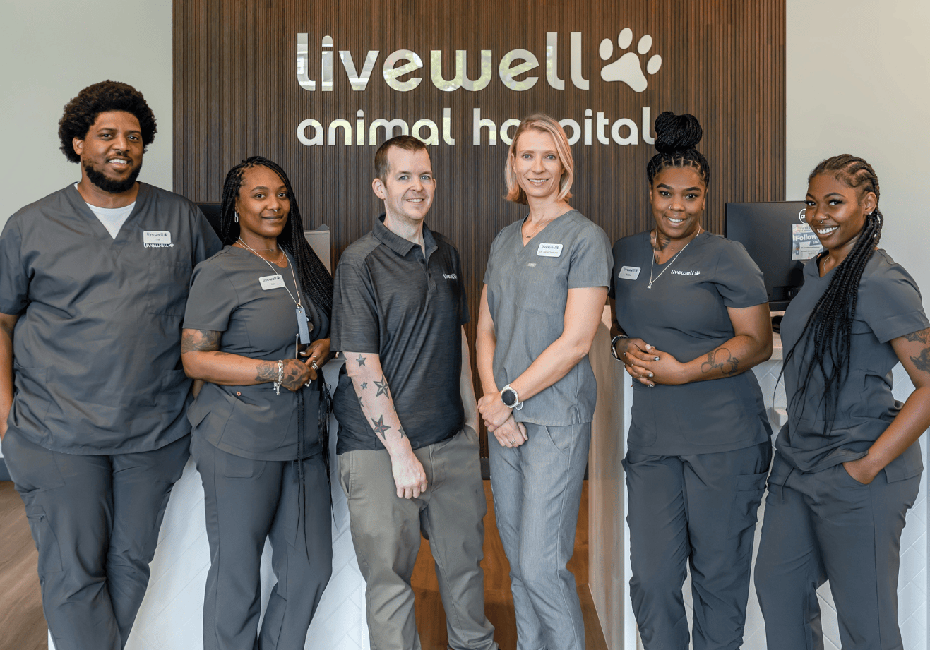 The Livewell Animal Hospital at the Parks team gathered by the receptionist area together